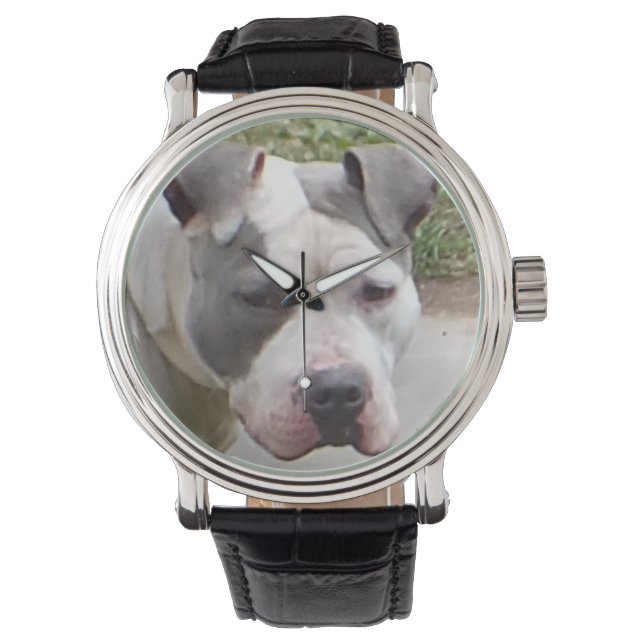 Pit Bull Watch (Front)