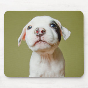 Pit Bull With Black Spotted Eye Mouse Pad
