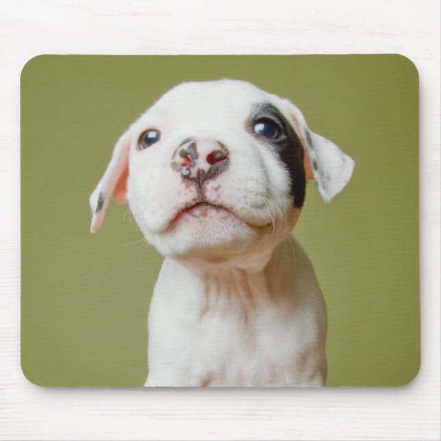 Pit Bull With Black Spotted Eye Mouse Pad (Front)