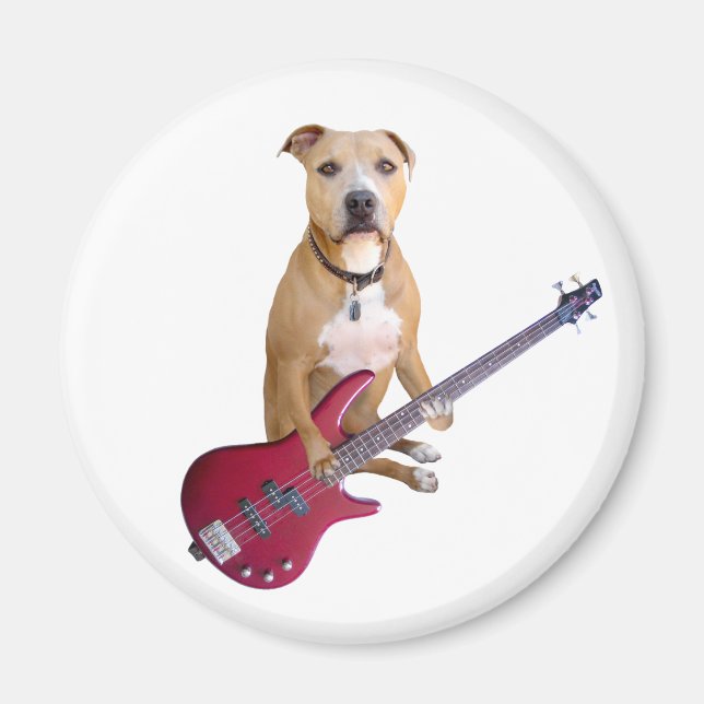 Pit Bull with Guitar Magnet (Front)