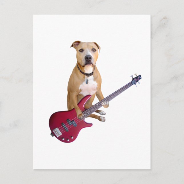 Pit Bull with Guitar Postcard (Front)