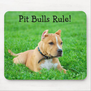 Pit Bulls Rule Mousepad