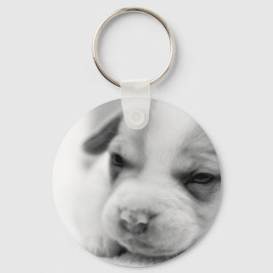 Pit Puppy Keychain