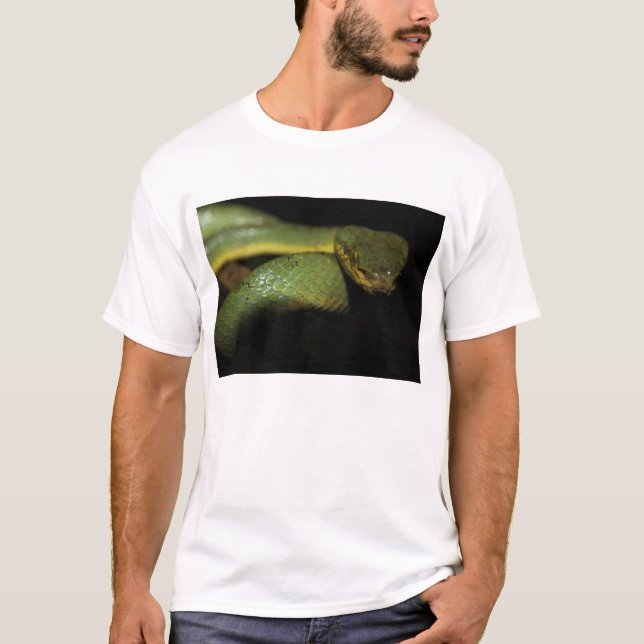 Pit Viper T Shirt (Front)