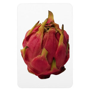 Pitaya Photo Magnet