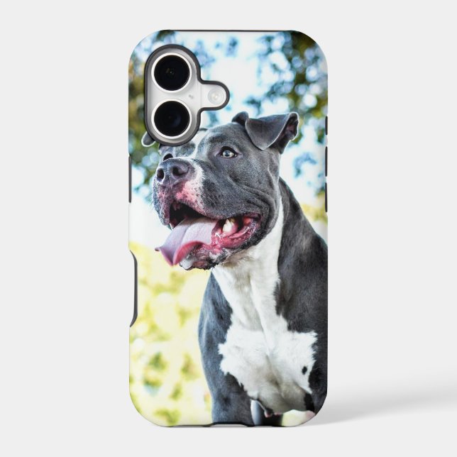 Pitbull (Back)