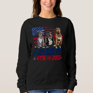 Pitbull America Flag 4th Of July Independence Day Sweatshirt