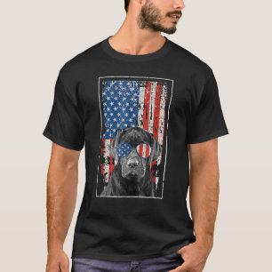 Pitbull American Flag 4th Of July Pitbull Dad Mom T-Shirt