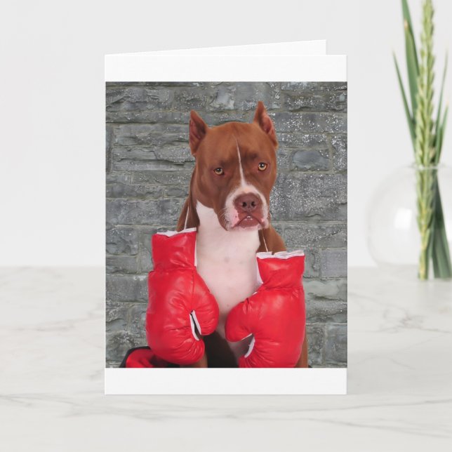Pitbull Boxer Card (Front)