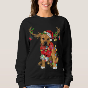 Pitbull boxer mix Gorgeous Reindeer Christmas Ligh Sweatshirt