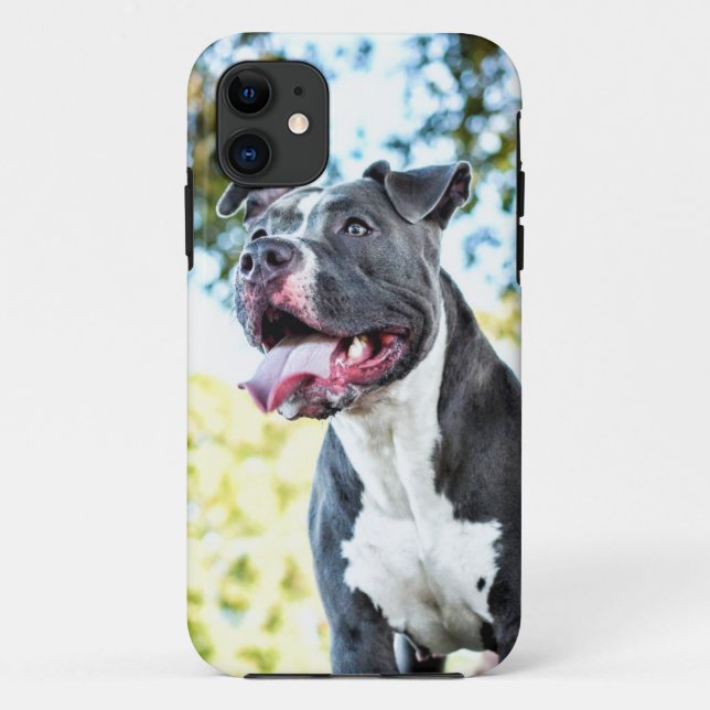 Pitbull Case-Mate iPhone Case (Back)