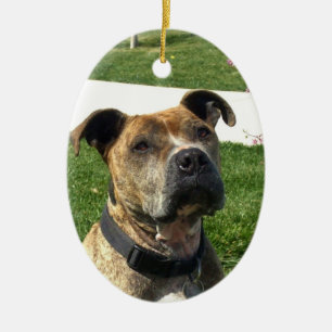 Pitbull Ceramic Ornament