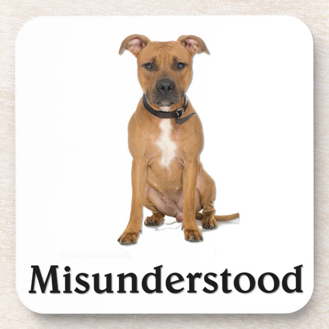 Pitbull Coaster (Front)