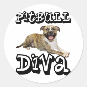 PitBull DIVA - Tigger Classic Round Sticker