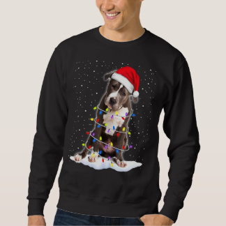 Pitbull Dog 2 Sweatshirt