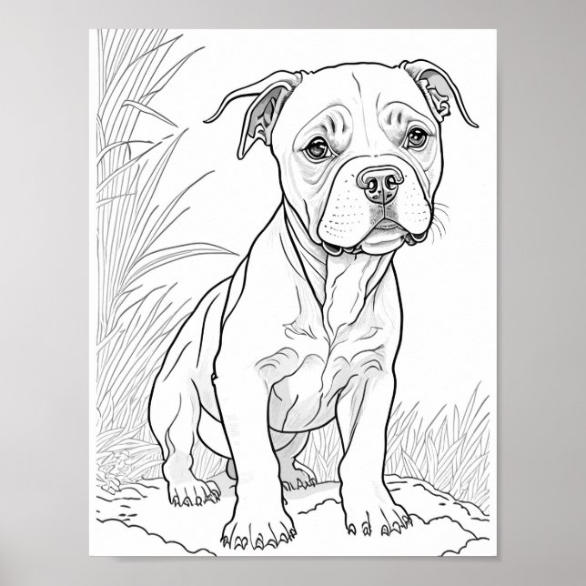 Pitbull Dog Adult Colouring Poster (Front)