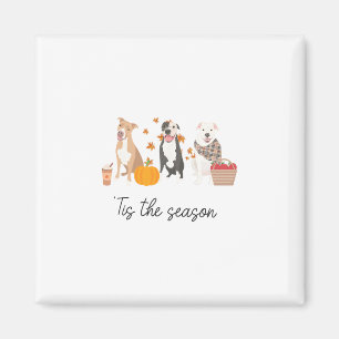Pitbull Dog Autumn Fall Thanksgiving Tis The Seaso Magnet