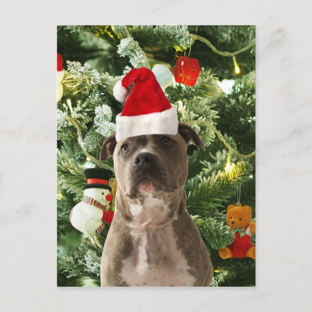 Pitbull Dog Christmas Tree Ornaments Snowman Holiday Postcard (Front)