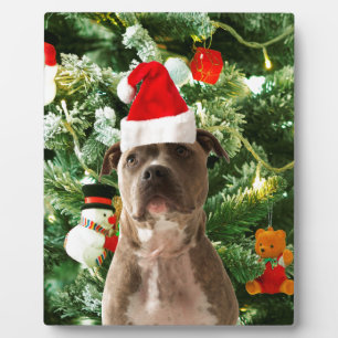Pitbull Dog Christmas Tree Ornaments Snowman Plaque