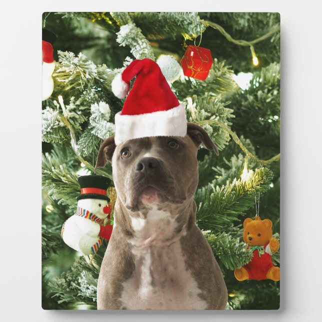 Pitbull Dog Christmas Tree Ornaments Snowman Plaque (Front)