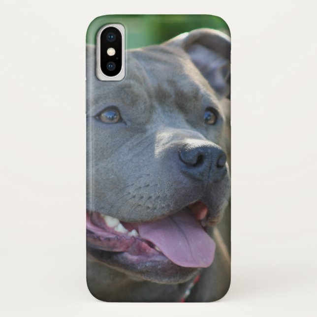 Pitbull dog iphone x case (Back)