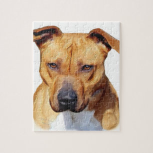 Pitbull dog jigsaw puzzle