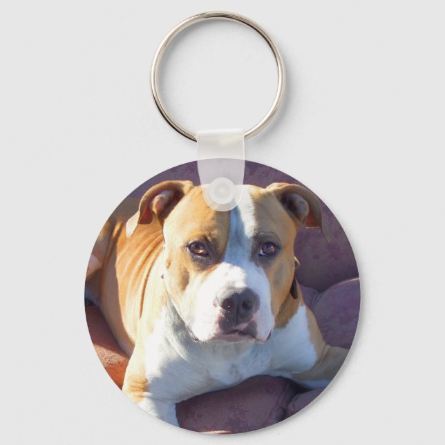 Pitbull Dog Key Ring (Front)