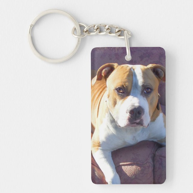 Pitbull dog key ring (Front)