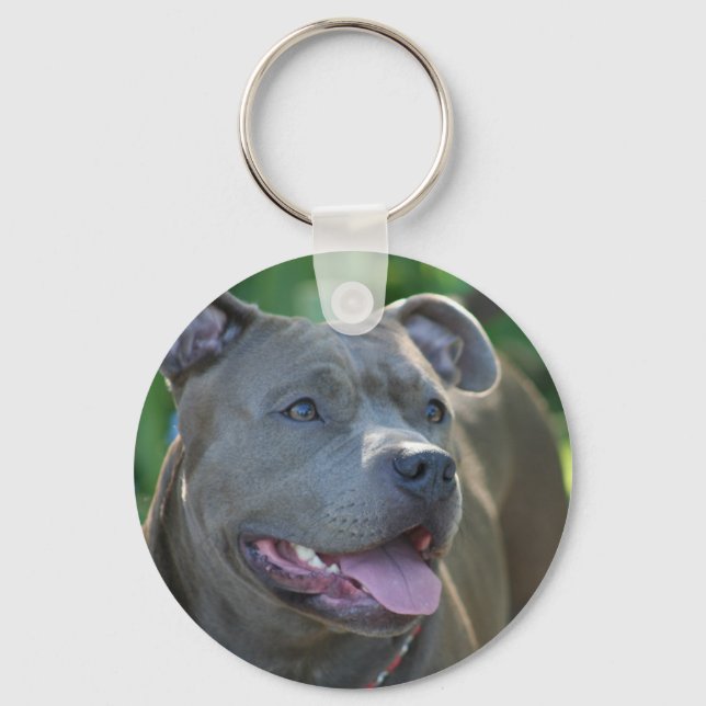 Pitbull dog keychain (Front)