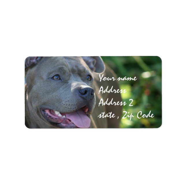 Pitbull Dog Label (Front)