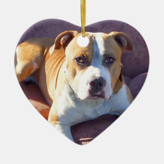 Pitbull dog ornament (Front)