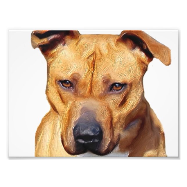 Pitbull dog photo print (Front)