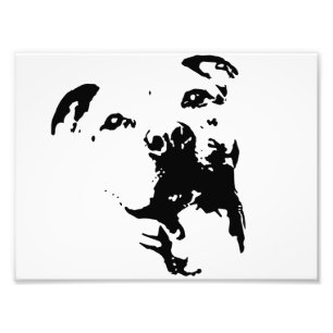Pitbull Dog Photo Print