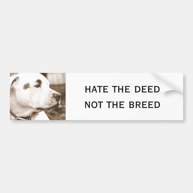 pitbull dog sepia colour hate deed not breed bumper sticker (Front)