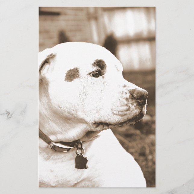pitbull dog sepia colour hate deed not breed stationery (Front)