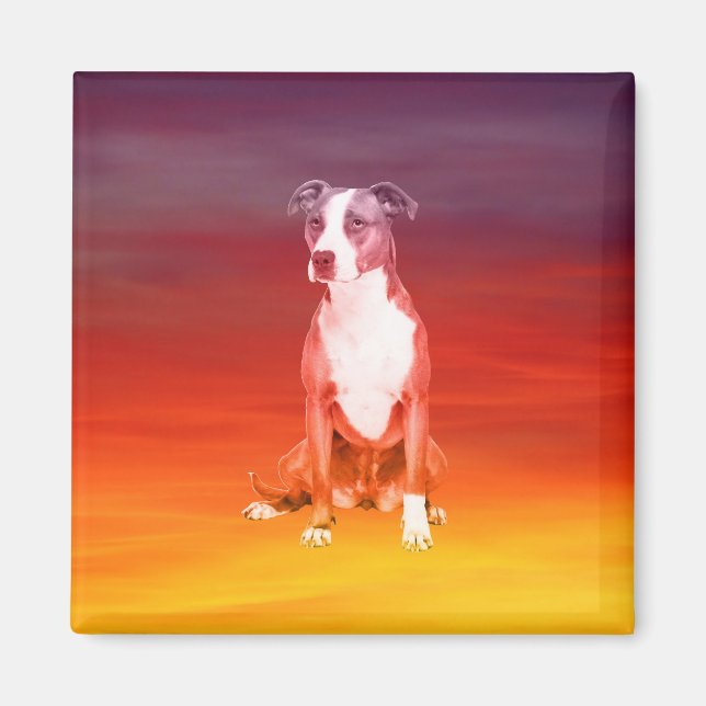 Pitbull Dog Sitting On Beach Magnet (Front)