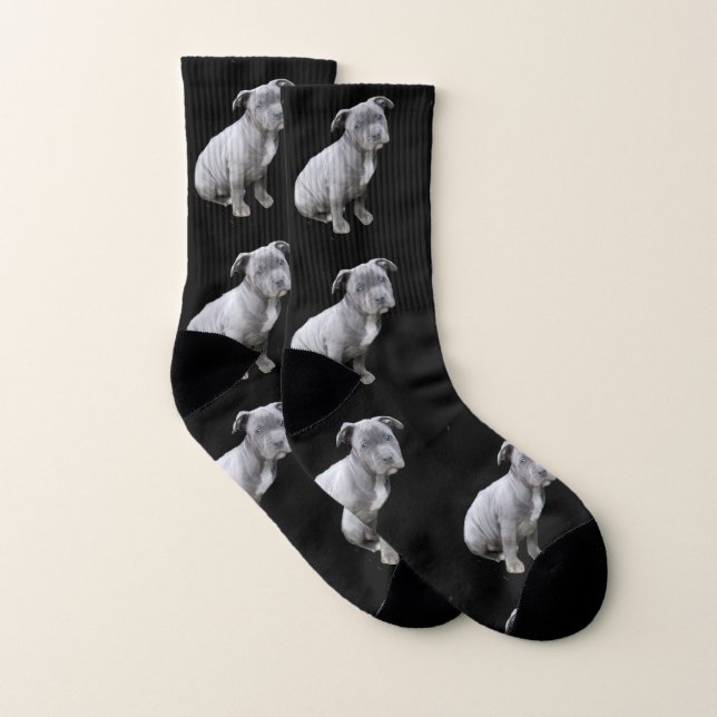 Pitbull dog socks (Pair)