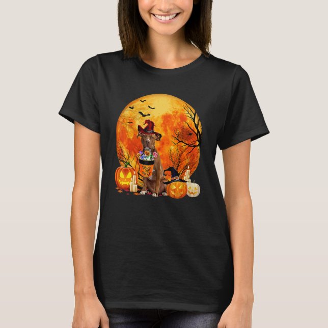 Pitbull Dog Witch Pumpkin Halloween Costume T-Shirt (Front)