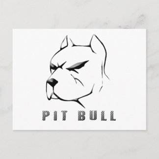 Pitbull draw postcard