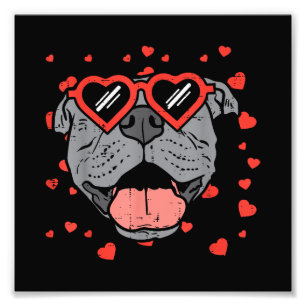 Pitbull Face Heart Glasses Valentines Day Pet Dog  Photo Print