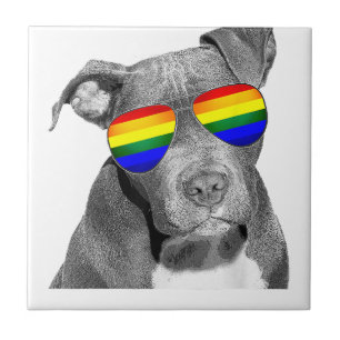 Pitbull Gay Pride Dog Clothing LGBT Funny Gift Rai Ceramic Tile