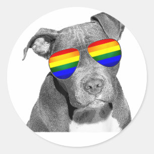 Pitbull Gay Pride Dog Clothing LGBT Funny Gift Rai Classic Round Sticker
