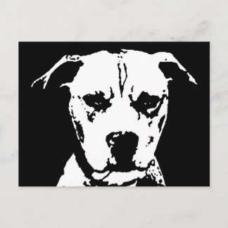 Pitbull Gifts - Postcard