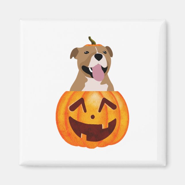 Pitbull Halloween     Magnet (Front)