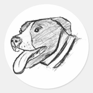 pitbull hand drawn photo dog animal lover classic round sticker