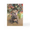 Pitbull I Want a Present Christmas Card