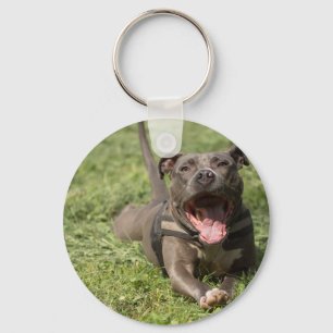 Pitbull In Grass Key Ring