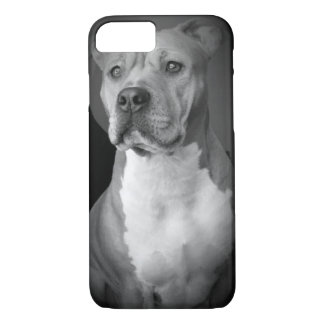 Pitbull iPhone Case