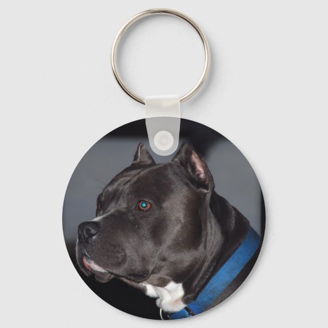 Pitbull Key Ring (Front)