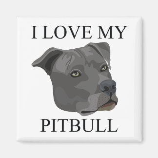 PITBULL Love! Magnet